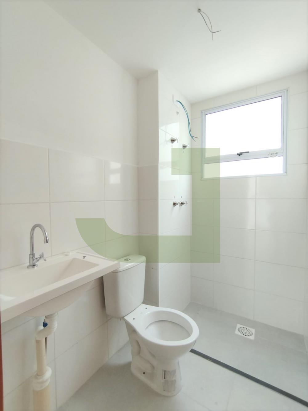 Banheiro Alugar Apartamento / Padrão em São Leopoldo R$ 1.000,00 - Foto 5