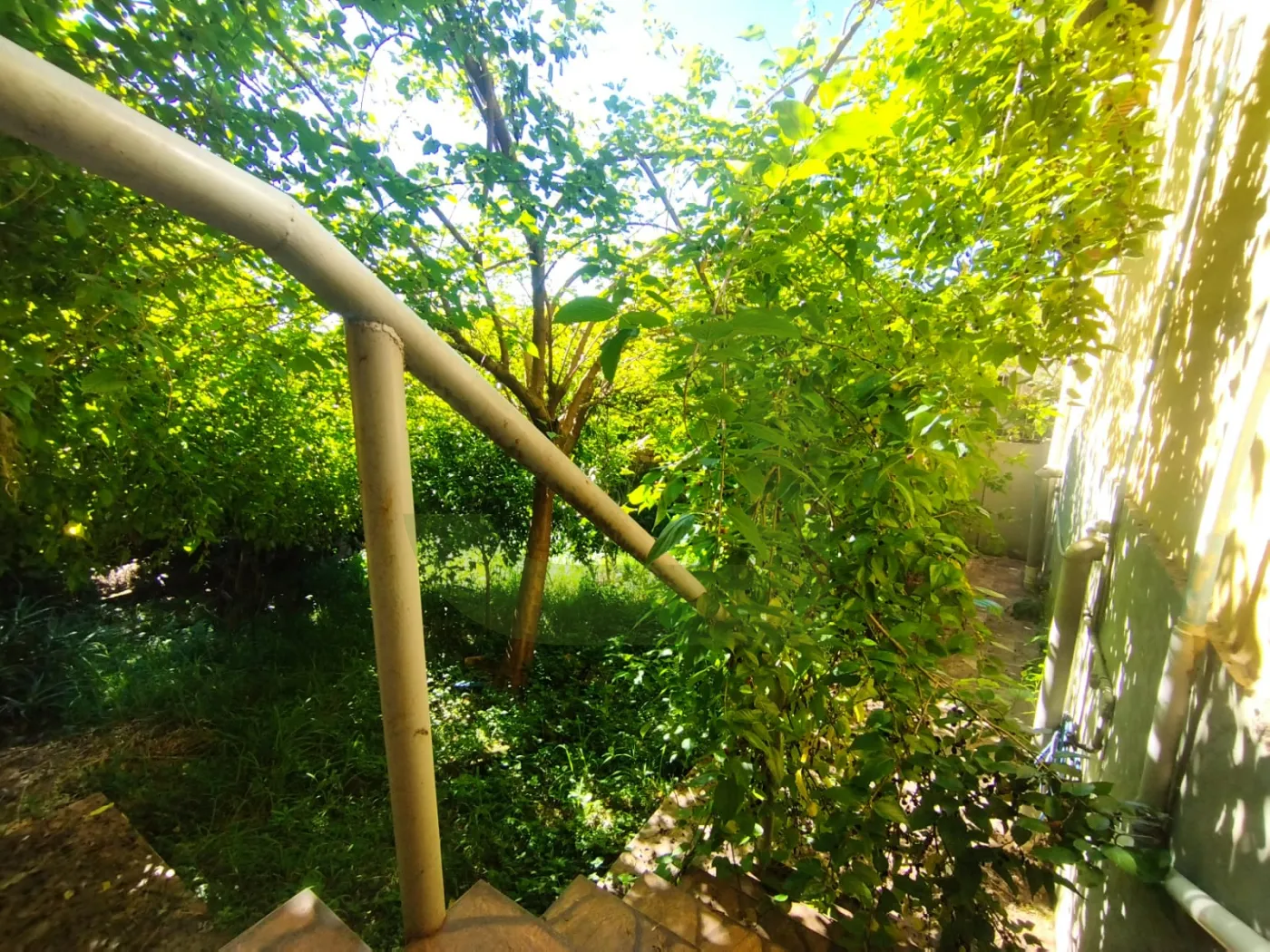 Pátio Fundos Alugar Casa / Padrão em São Leopoldo R$ 2.000,00 - Foto 19