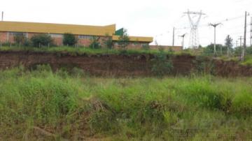 Sao Leopoldo Morro do Paula Comercial Venda R$1.590.000,00  Area do terreno 2221.89m2 