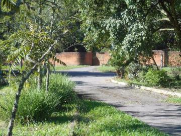 Pavilhão à venda localizado na São Borja em São Leopoldo