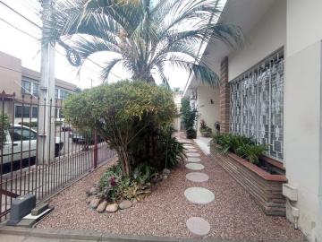 imagem 3 - Casa para fins comercial ou residencial à venda no Centro de São Leopoldo imagem 3 - Casa para fins comercial ou residencial à venda no Centro de São Leopoldo