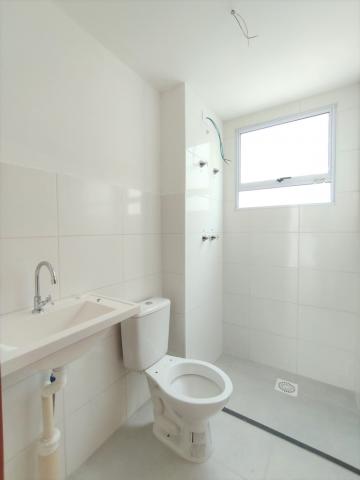 imagem 5 - Excelente apartamento para locação no bairro Santos Dumont em São Leopoldo! imagem 5 - Excelente apartamento para locação no bairro Santos Dumont em São Leopoldo!