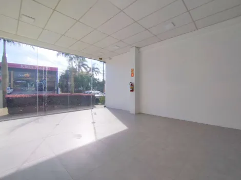 imagem 2 - Loja para locação no Centro de São Leopoldo! imagem 2 - Loja para locação no Centro de São Leopoldo!