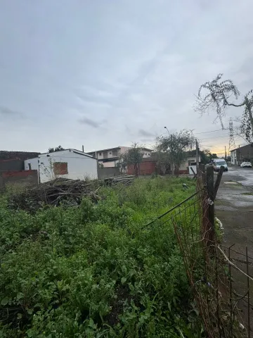imagem 1 - Terreno Plano com ótima localização no Bairro Scharlau em São Leopoldo imagem 1 - Terreno Plano com ótima localização no Bairro Scharlau em São Leopoldo