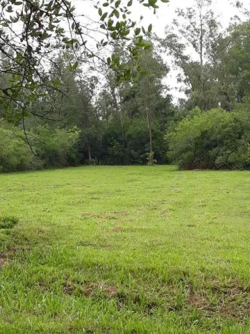imagem 2 - Lindo sítio de  1,69 hectare em Novo Hamburgo imagem 2 - Lindo sítio de  1,69 hectare em Novo Hamburgo