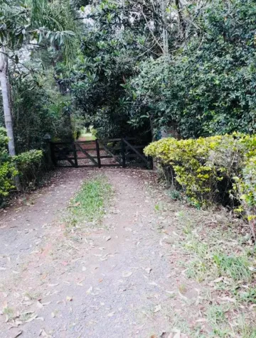 imagem 3 - Lindo sítio de  1,69 hectare em Novo Hamburgo imagem 3 - Lindo sítio de  1,69 hectare em Novo Hamburgo