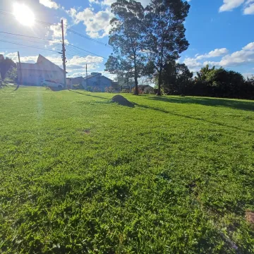 imagem 5 - Terreno amplo e plano à venda no Bairro Jardim das Acácias imagem 5 - Terreno amplo e plano à venda no Bairro Jardim das Acácias