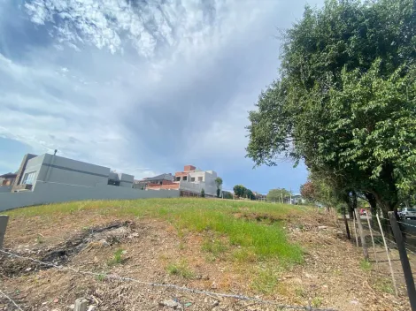 imagem 4 - Excelente oportunidade para investir ou construir no bairro Jardim América imagem 4 - Excelente oportunidade para investir ou construir no bairro Jardim América