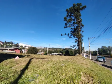 imagem 1 - Terreno para locação R$ 5,500,00 localizado no Bairro São José em São Leopoldo imagem 1 - Terreno para locação R$ 5,500,00 localizado no Bairro São José em São Leopoldo