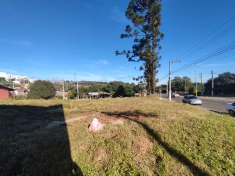 imagem 3 - Terreno para locação R$ 5,500,00 localizado no Bairro São José em São Leopoldo imagem 3 - Terreno para locação R$ 5,500,00 localizado no Bairro São José em São Leopoldo