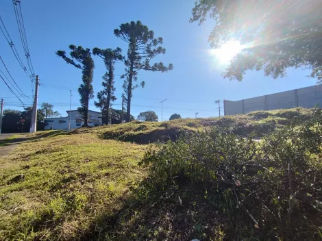imagem 4 - Terreno para locação R$ 5,500,00 localizado no Bairro São José em São Leopoldo imagem 4 - Terreno para locação R$ 5,500,00 localizado no Bairro São José em São Leopoldo