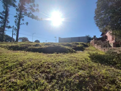 imagem 5 - Terreno para locação R$ 5,500,00 localizado no Bairro São José em São Leopoldo imagem 5 - Terreno para locação R$ 5,500,00 localizado no Bairro São José em São Leopoldo